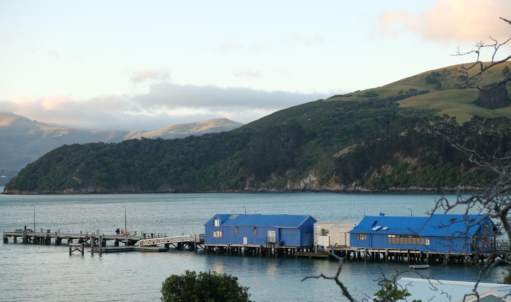 Oinako Bed & Breakfast Akaroa Exterior photo
